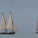 Regates Vieux Bateaux - 146